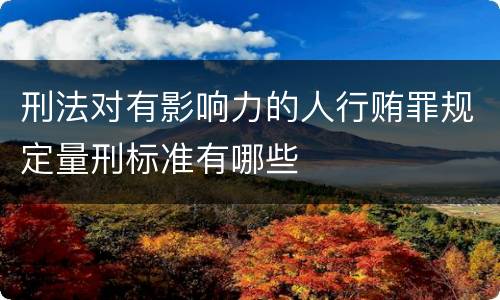 刑法对有影响力的人行贿罪规定量刑标准有哪些