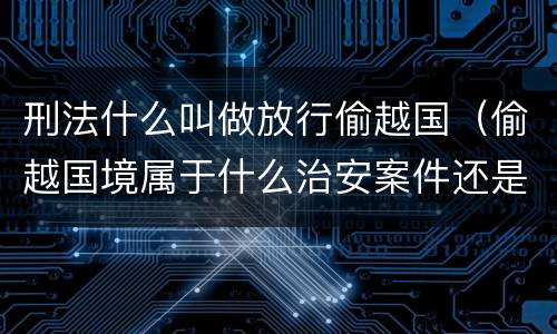 刑法什么叫做放行偷越国（偷越国境属于什么治安案件还是刑事案件）