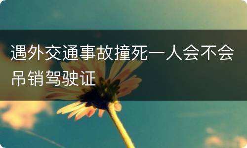 遇外交通事故撞死一人会不会吊销驾驶证