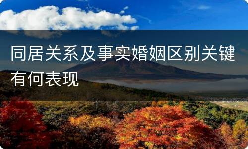 同居关系及事实婚姻区别关键有何表现