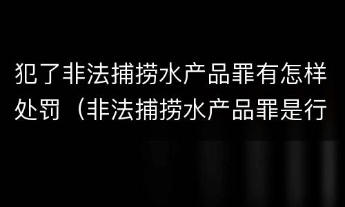 犯了非法捕捞水产品罪有怎样处罚（非法捕捞水产品罪是行为犯吗）