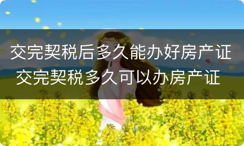 交完契税后多久能办好房产证 交完契税多久可以办房产证