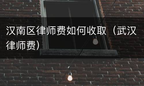 汉南区律师费如何收取（武汉律师费）