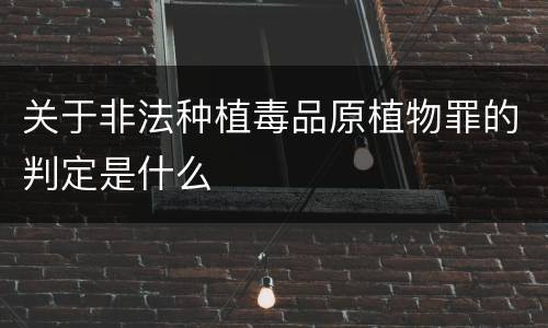 关于非法种植毒品原植物罪的判定是什么