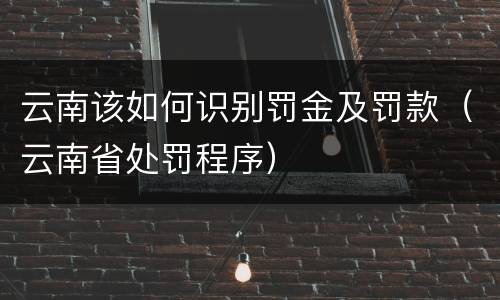 云南该如何识别罚金及罚款（云南省处罚程序）
