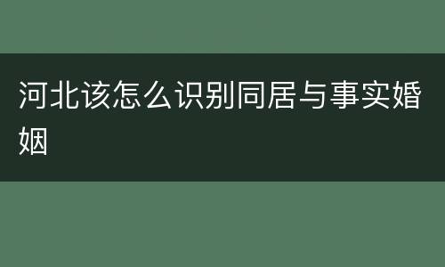 河北该怎么识别同居与事实婚姻