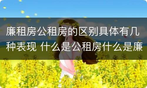 廉租房公租房的区别具体有几种表现 什么是公租房什么是廉租房