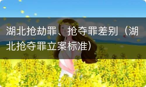 湖北抢劫罪、抢夺罪差别（湖北抢夺罪立案标准）