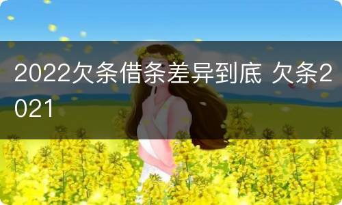 2022欠条借条差异到底 欠条2021