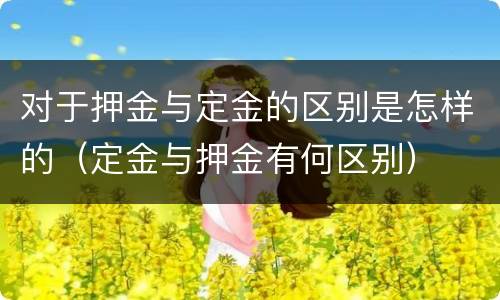 对于押金与定金的区别是怎样的（定金与押金有何区别）