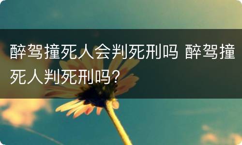 醉驾撞死人会判死刑吗 醉驾撞死人判死刑吗?