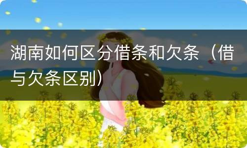 湖南如何区分借条和欠条（借与欠条区别）