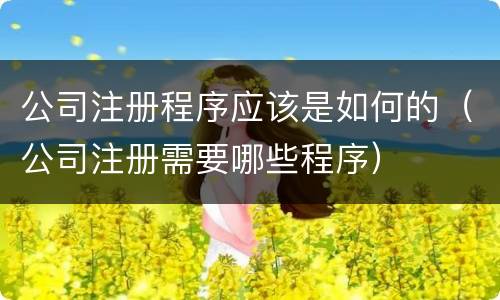 公司注册程序应该是如何的（公司注册需要哪些程序）