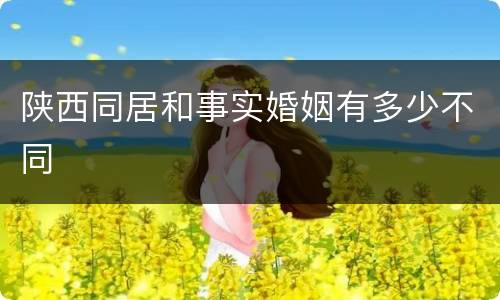 陕西同居和事实婚姻有多少不同