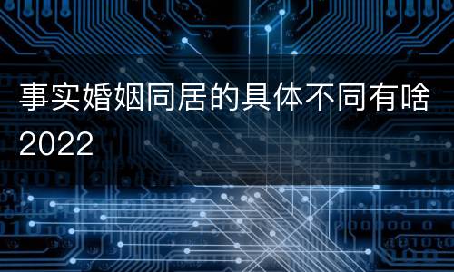 事实婚姻同居的具体不同有啥2022
