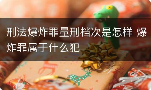 刑法爆炸罪量刑档次是怎样 爆炸罪属于什么犯