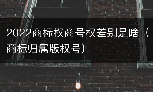 2022商标权商号权差别是啥（商标归属版权号）