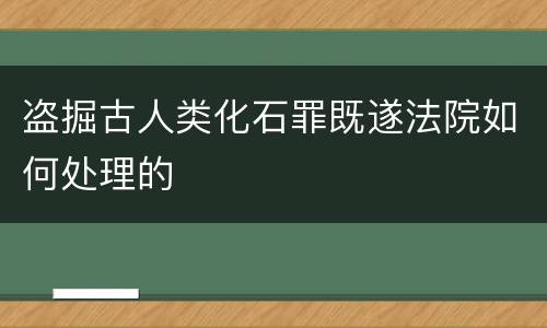 盗掘古人类化石罪既遂法院如何处理的
