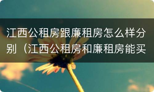 江西公租房跟廉租房怎么样分别（江西公租房和廉租房能买吗）
