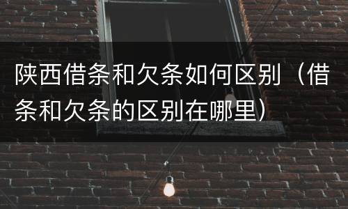 陕西借条和欠条如何区别（借条和欠条的区别在哪里）