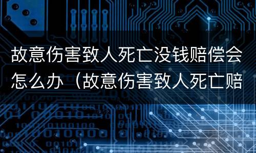 故意伤害致人死亡没钱赔偿会怎么办（故意伤害致人死亡赔偿金能否获赔）