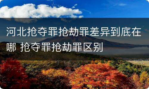 河北抢夺罪抢劫罪差异到底在哪 抢夺罪抢劫罪区别