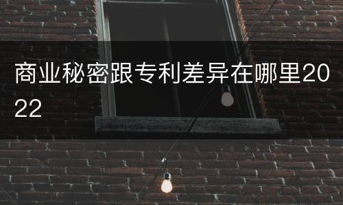 商业秘密跟专利差异在哪里2022