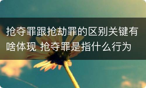 抢夺罪跟抢劫罪的区别关键有啥体现 抢夺罪是指什么行为
