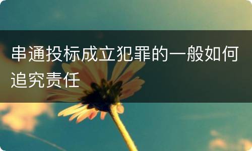 串通投标成立犯罪的一般如何追究责任