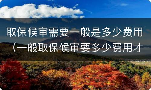 取保候审需要一般是多少费用（一般取保候审要多少费用才能办理）