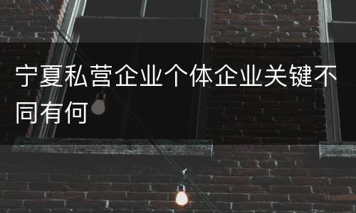 宁夏私营企业个体企业关键不同有何