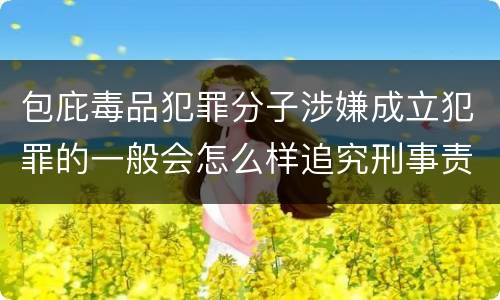 包庇毒品犯罪分子涉嫌成立犯罪的一般会怎么样追究刑事责任