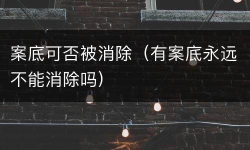 案底可否被消除（有案底永远不能消除吗）