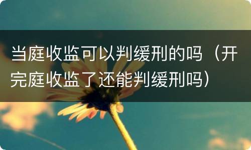 当庭收监可以判缓刑的吗（开完庭收监了还能判缓刑吗）