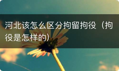 河北该怎么区分拘留拘役（拘役是怎样的）