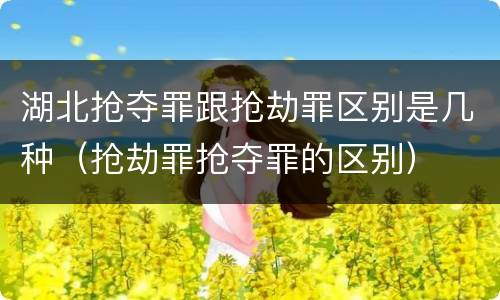 湖北抢夺罪跟抢劫罪区别是几种（抢劫罪抢夺罪的区别）