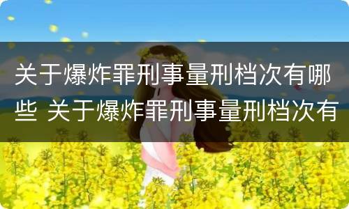 关于爆炸罪刑事量刑档次有哪些 关于爆炸罪刑事量刑档次有哪些要求
