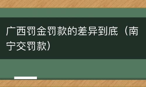 广西罚金罚款的差异到底（南宁交罚款）