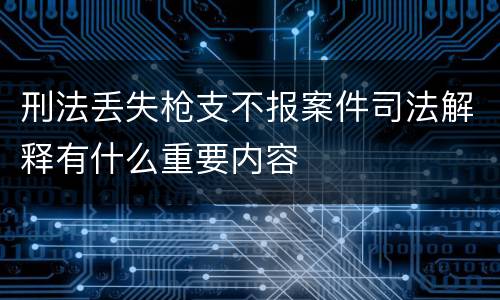 刑法丢失枪支不报案件司法解释有什么重要内容
