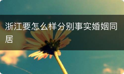 浙江要怎么样分别事实婚姻同居