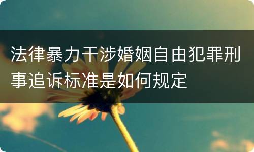 法律暴力干涉婚姻自由犯罪刑事追诉标准是如何规定