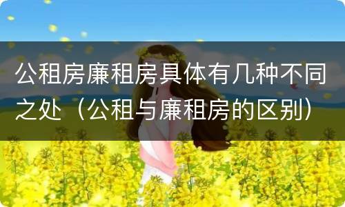 公租房廉租房具体有几种不同之处（公租与廉租房的区别）
