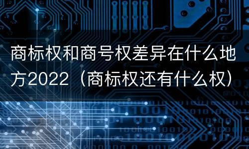 商标权和商号权差异在什么地方2022（商标权还有什么权）