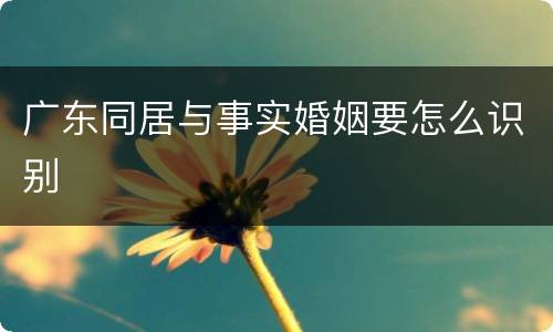 广东同居与事实婚姻要怎么识别