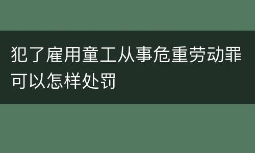 犯了雇用童工从事危重劳动罪可以怎样处罚