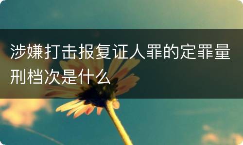 涉嫌打击报复证人罪的定罪量刑档次是什么