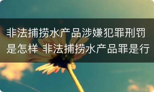 非法捕捞水产品涉嫌犯罪刑罚是怎样 非法捕捞水产品罪是行为犯吗