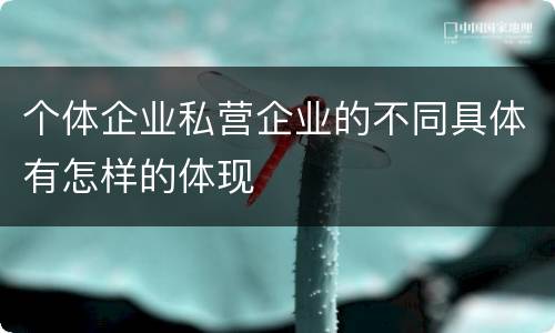 个体企业私营企业的不同具体有怎样的体现