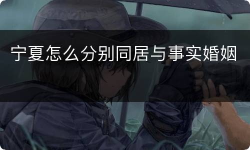 宁夏怎么分别同居与事实婚姻