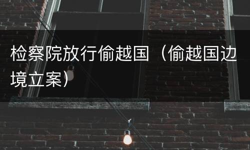 检察院放行偷越国（偷越国边境立案）